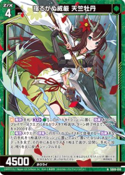 画像1: 揺るがぬ威厳 天竺牡丹