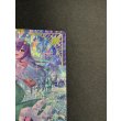 画像2: ※傷有り品（返品交換対象外）【IGR】ペクティリスＰ (2)
