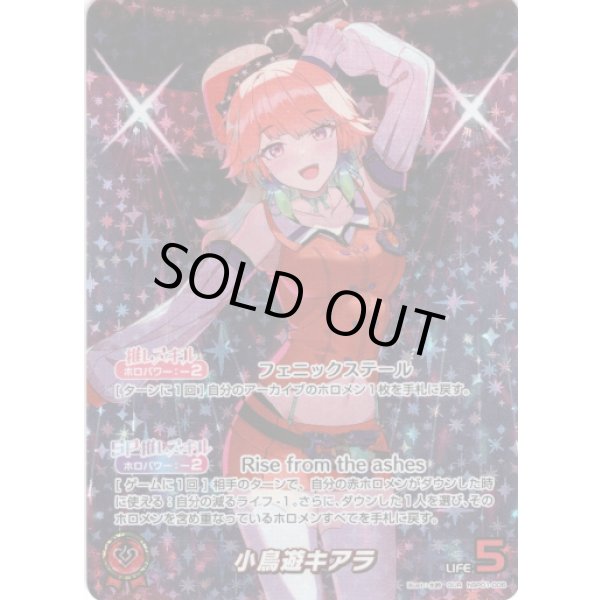 画像1: ※傷有り品（返品交換対象外）【OUR】小鳥遊キアラ (1)