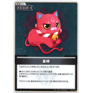 画像: 【S】金時