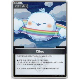 画像: 【S】Cilus