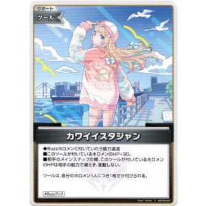 画像: カワイイスタジャン