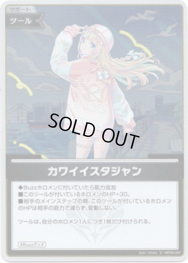 画像1: 【S】カワイイスタジャン (1)