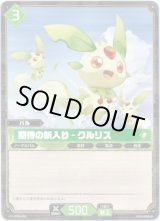 画像: 期待の新入り - クルリス