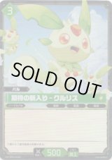 画像: 【SR】期待の新入り - クルリス