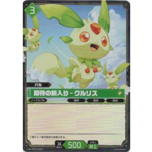 画像: 【SR】期待の新入り - クルリス