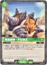 画像: 唸る鋭矛 - ドリタス