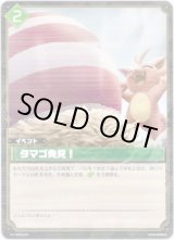 画像: タマゴ発見！
