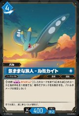 画像: 気ままな旅人 - ルミカイト