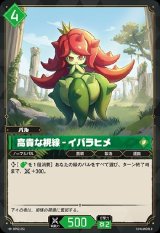 画像: 高貴な視線 - イバラヒメ
