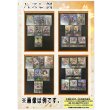 画像2: 【シャドバオリパ】エボルヴ4000円オリパ 【1本4000円 全100本】 (2)