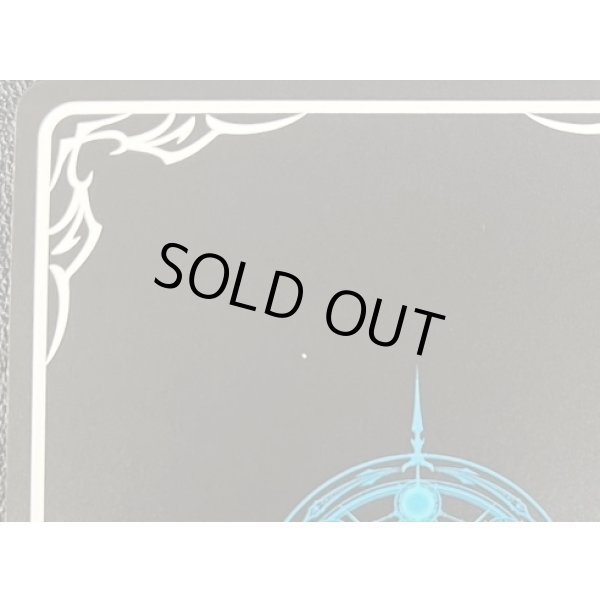 画像3: ※傷有り品（返品交換対象外）カイザーインサイト (3)