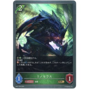 画像: リノセウス