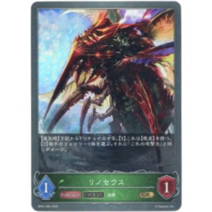 画像: 【EVOLVE】リノセウス