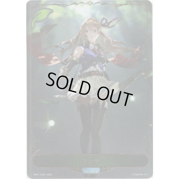 画像1: ※傷有り品（返品交換対象外）【リーダー】アリサ (1)