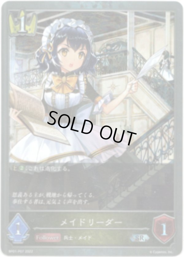 画像1: 【プレミアム】メイドリーダー (1)