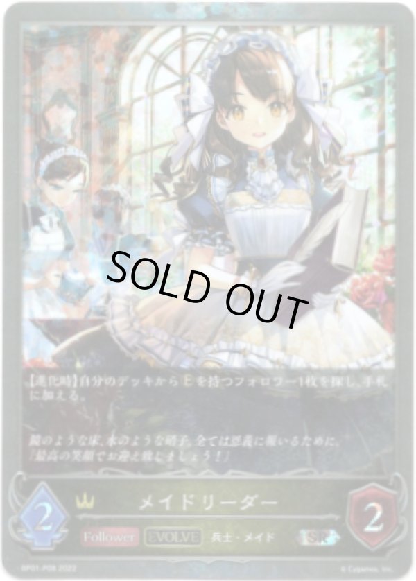 画像1: 【プレミアム】【EVOLVE】メイドリーダー (1)