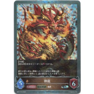 画像: 【プレミアム】【EVOLVE】神龍