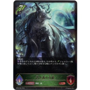 画像: 古き森の白狼