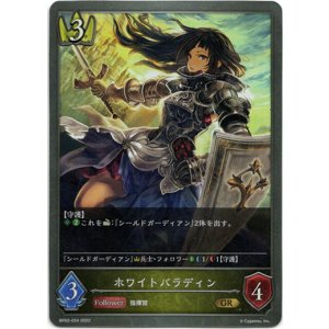 画像: ホワイトパラディン