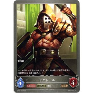 画像: 【EVOLVE】セクトール