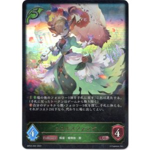 画像: コスモスファング