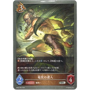 画像: 竜技の達人