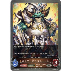 画像: 【EVOLVE】ハンマードラゴニュート