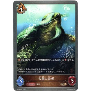 画像: 大亀の長老