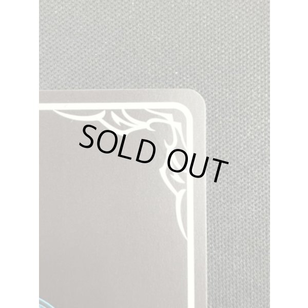 画像2: 【SP】目指せお嬢様・サロメ (2)