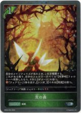 画像: 【プレミアム】茨の森