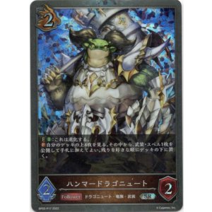 画像: 【プレミアム】ハンマードラゴニュート