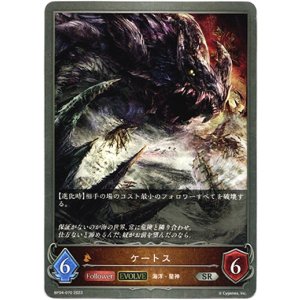 画像: 【EVOLVE】ケートス