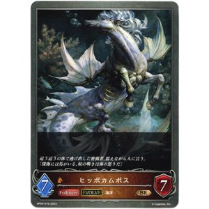 画像: 【EVOLVE】ヒッポカムポス