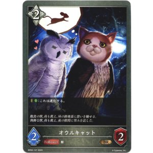 画像: オウルキャット