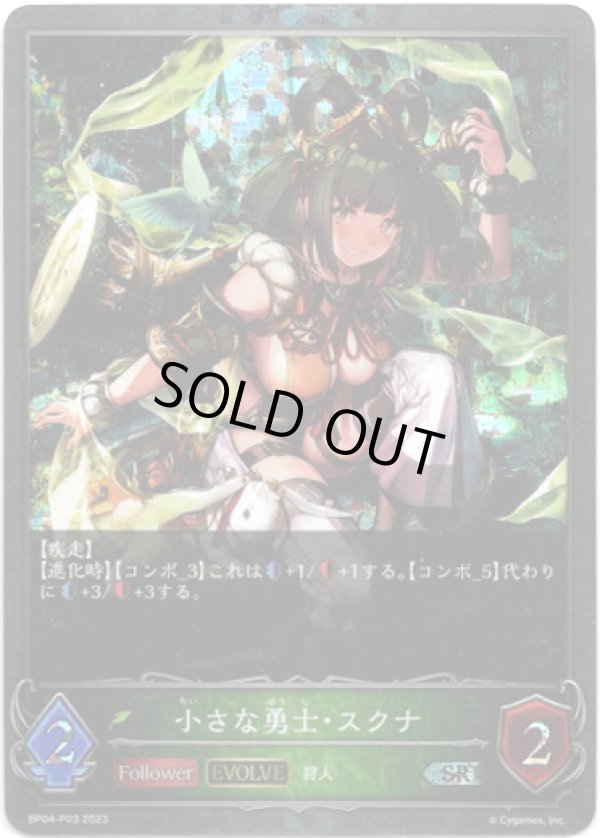 画像1: 【プレミアム】【EVOLVE】小さな勇士・スクナ (1)