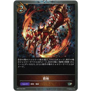 画像: 【プレミアム】覇極