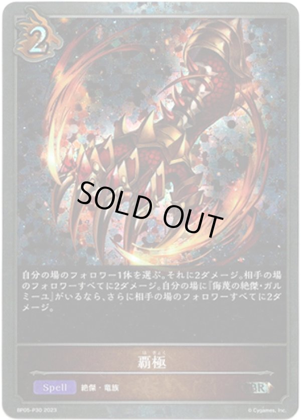 画像1: 【プレミアム】覇極 (1)