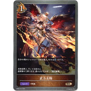 画像: 武力炎翔