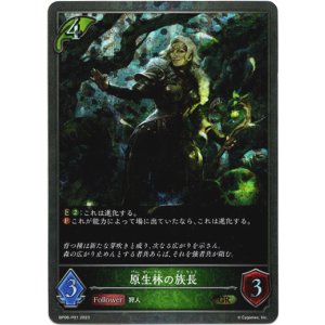 画像: 【プレミアム】原生林の族長