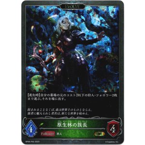 画像: 【プレミアム】【EVOLVE】原生林の族長