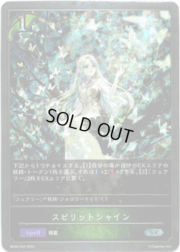 画像1: 【プレミアム】スピリットシャイン (1)