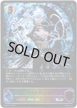 画像: 【スーパーレジェンド】アーツマスター・カルラ