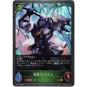 画像: 獣戦士・セタス