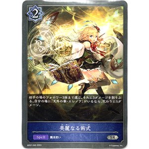 画像: 美麗なる術式