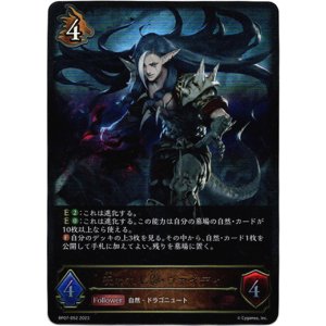 画像: 呪われし影・ヴァイディ