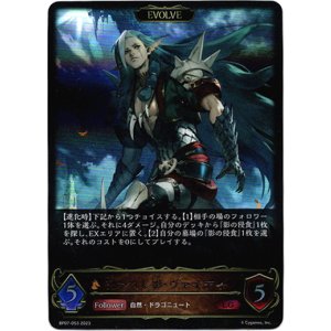 画像: 【EVOLVE】呪われし影・ヴァイディ