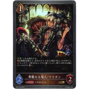 画像: 華麗なる竜人・マリオン