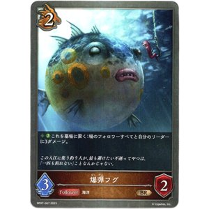 画像: 爆弾フグ