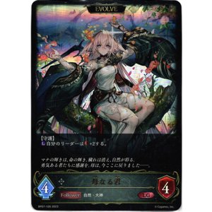 画像: 【EVOLVE】母なる君